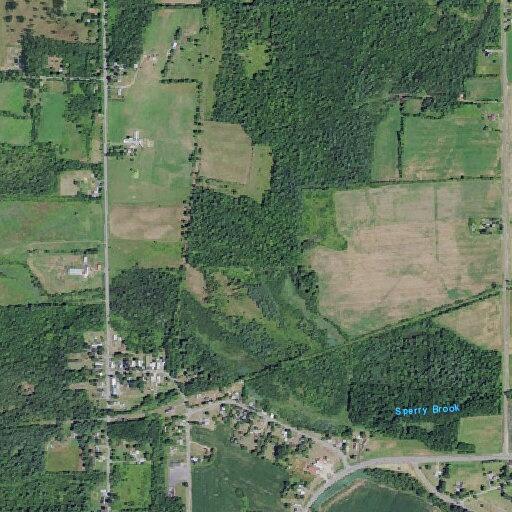 97-year-old female fell, possible hip and leg injury