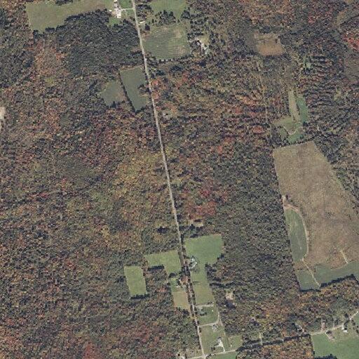 Traffic complaint on Center Road in Corinna