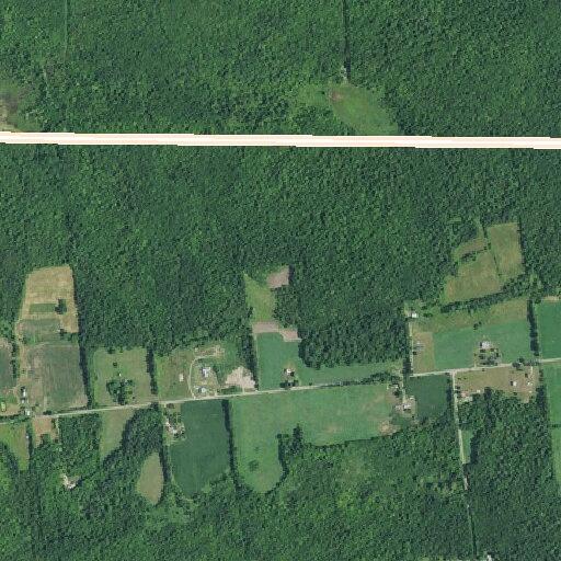 Tree down on power lines on Trout River Road