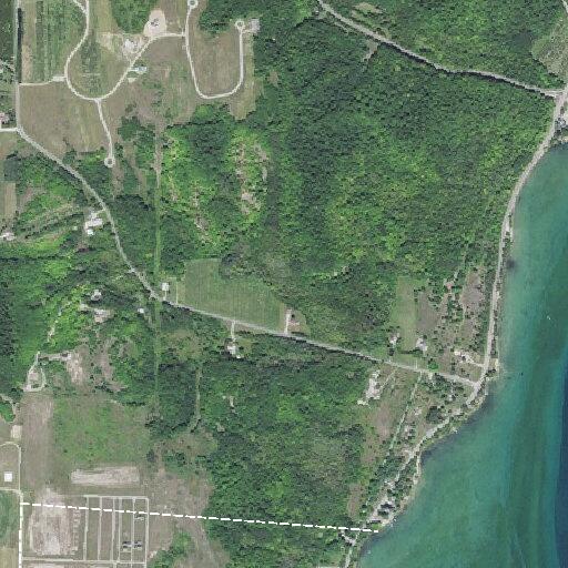 Complaint over trees cut for bay view