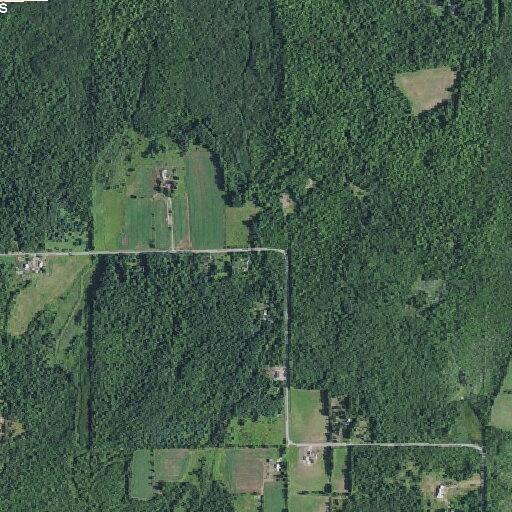 Tree blocking Eddy Road west of Route 339