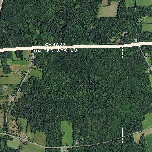 Man acting strangely on roadside in Mooers