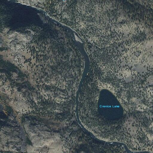 Tree blocking eastbound lane near Blacktail entrance
