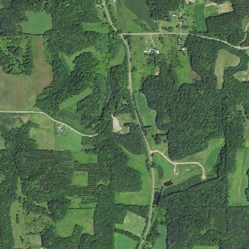 Unanswered 911 call traced to woods near home