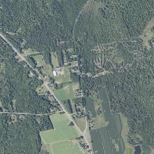 Reported convulsions near Dover Road in Charleston