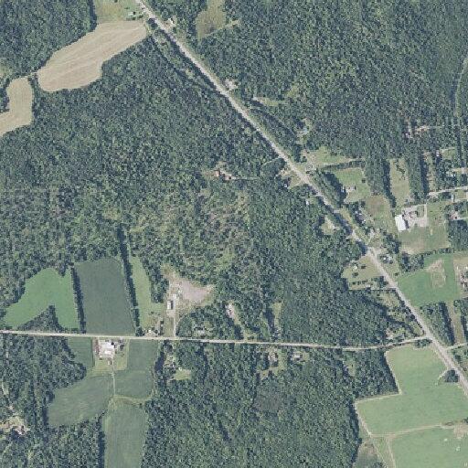 Male fallen near Bacon Road in Charleston needs help