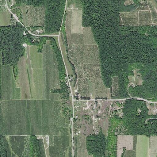 Multiple 911 calls from person near Povuda Road