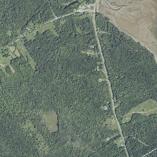 Elderly man fell and conscious near US Route 1