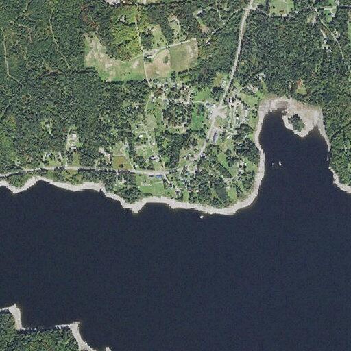 Dog and owner stranded on Lake Francis in boat