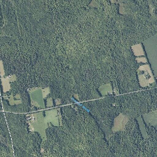 Accidental 911 call on Garland Road