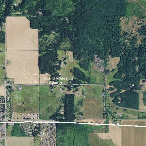 Person making drugs to attempt suicide in Grand Ronde