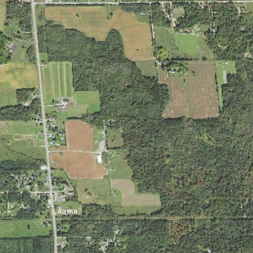 Elderly woman weak and lethargic near M-65 North in Alpena County