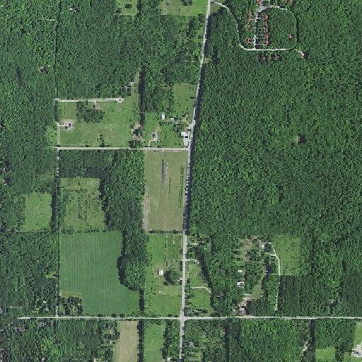 Elderly female bleeding at state highway location