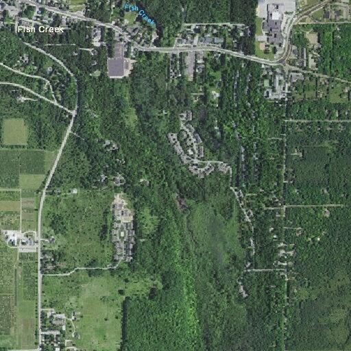 81-year-old woman with chest and back pain in Fish Creek