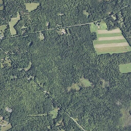 74-year-old woman fallen, needs lift assist in Sangerville