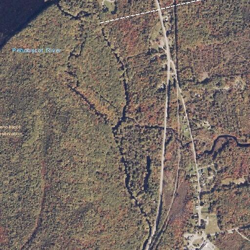 60-year-old woman lethargic and vomiting in Greenbush