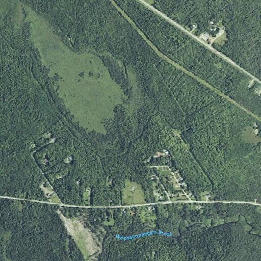 Elderly woman with sinus pain requests ambulance near South Princeton Road