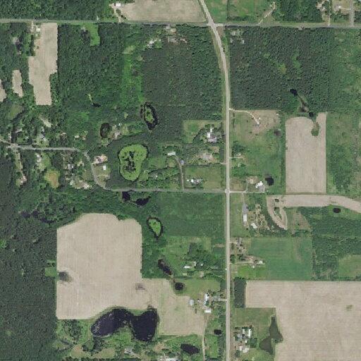 Car hits horse on Highway 35, no injuries reported