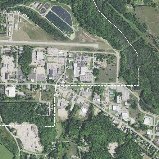 Loose dogs near auto shop in Boyne City