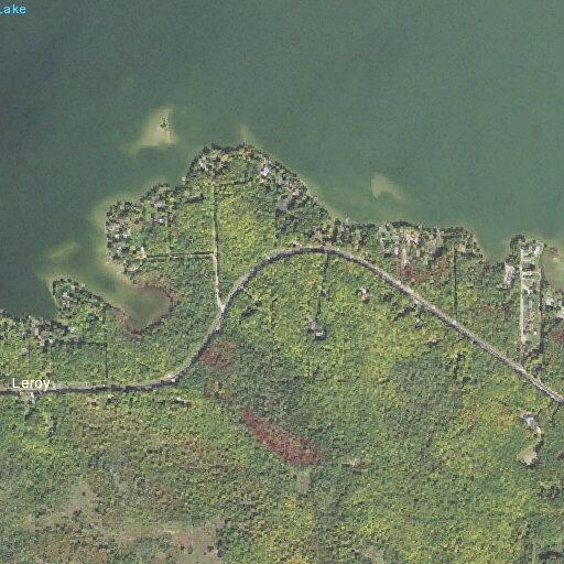 Resident dispute at Long Lake home