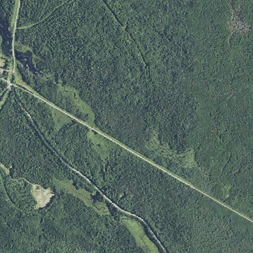 Traffic stop on Houlton Road near Grand Falls Road