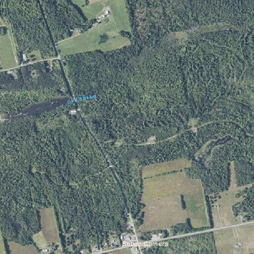 Disturbance at funeral in Sebec cemetery