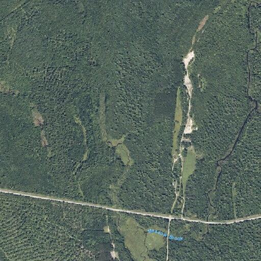 Delayed report of death near Song and LaGrange roads
