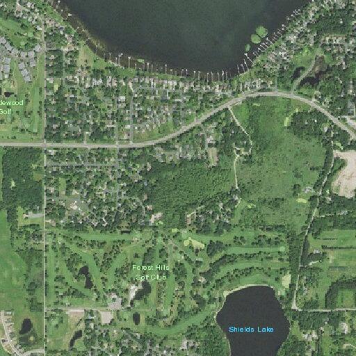 84-year-old woman with back pain in Forest Lake