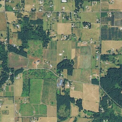 Cardiac arrest reported near South Spangler Road