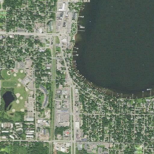 Elderly woman experiences chest pain near Forest Lake