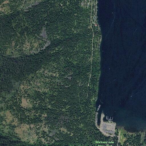 Elderly man in pain at Wallowa Lake State Park