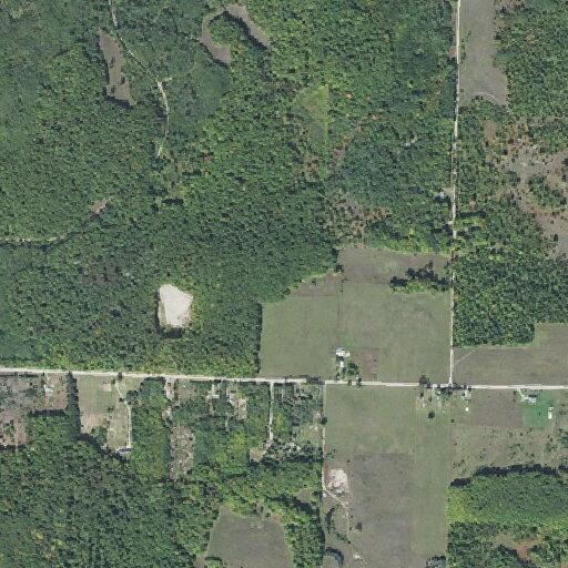 Emergency call for 93-year-old woman at Watson Road
