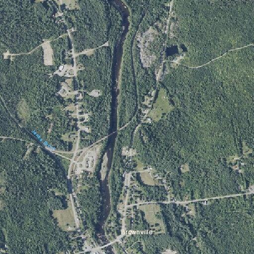 79-year-old female with altered mental status in Brownville