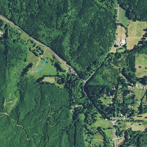 Vehicle collision with deer on Sand Lake Road