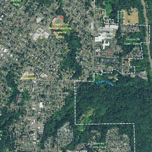 Person experiencing terminal pain near Cascade Street