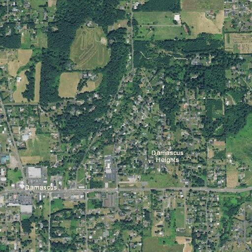 Non-injury traffic collision on Rust Way shoulder