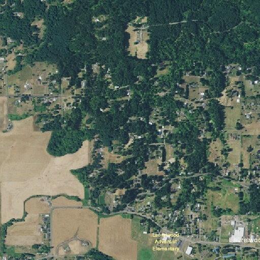 Person experiencing chest pain near Gaston