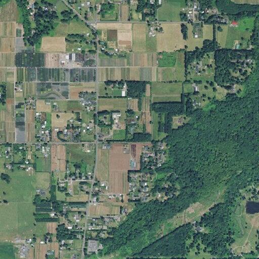 Person suffering stroke at SE Bluff Rd, Sandy, OR
