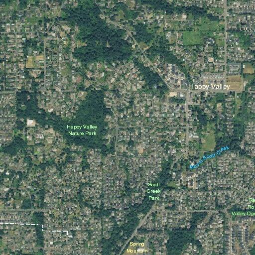 Person having a stroke at Southeast Ross Lane