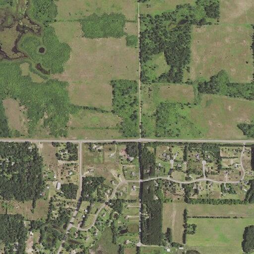 Person run over by delivery truck in Big Lake driveway