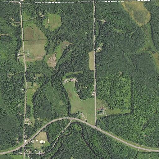 Dogs reported killing chickens at rural property
