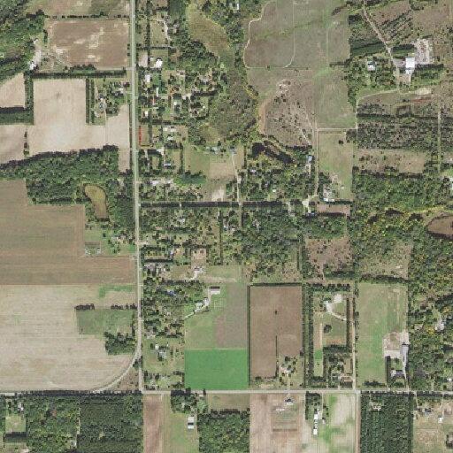 Person fallen near 288th Lane NE in North Branch