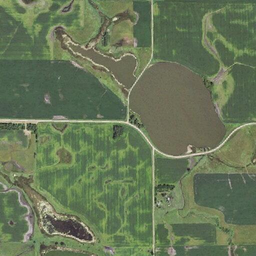 Loose cattle reported near rural address