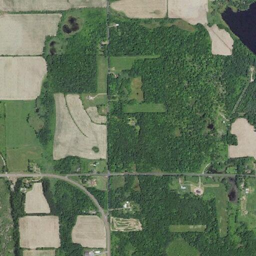Naked man walking in yard near Milltown