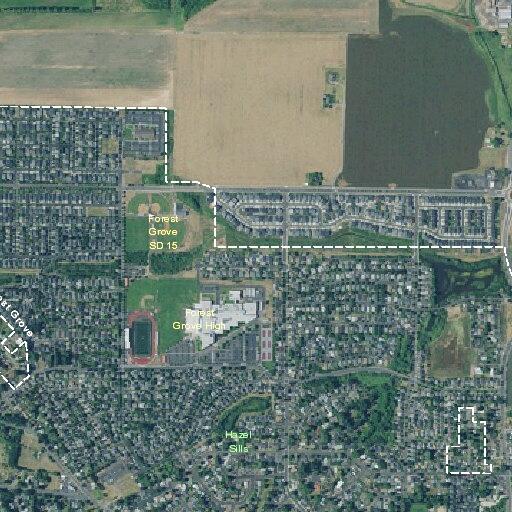 Person with back pain near B St in Forest Grove