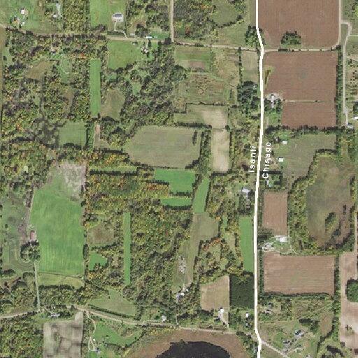 Person having a seizure near 310th Ave NE, North Branch