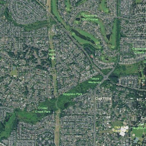 Adult female having a seizure at NW Paddington Drive