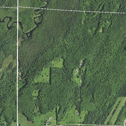 Loose cows reported near Scott Road in Crandon