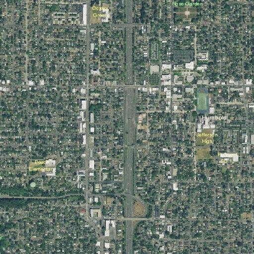 Person reporting chest pain at Patton Home