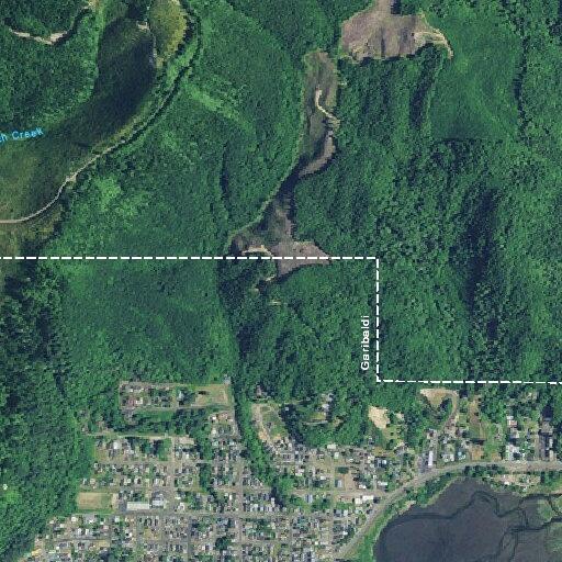 75-year-old woman conscious and breathing at Garibaldi home